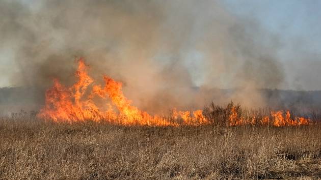 Požár suché trávy - Ilustrační foto