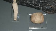 Mumifikované ptáče a had na výstavě věnované starověkému Egyptu v muzeu v Birminghamu