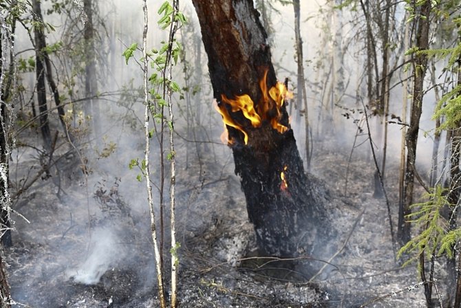 Lesní požár v Krasnojarském kraji na ruské Sibiři