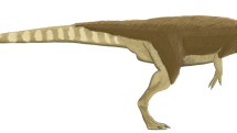 Mezi teropody, tedy tříprsté masožravé dinosaury, patřil i Dilophosaurus wetherilli.