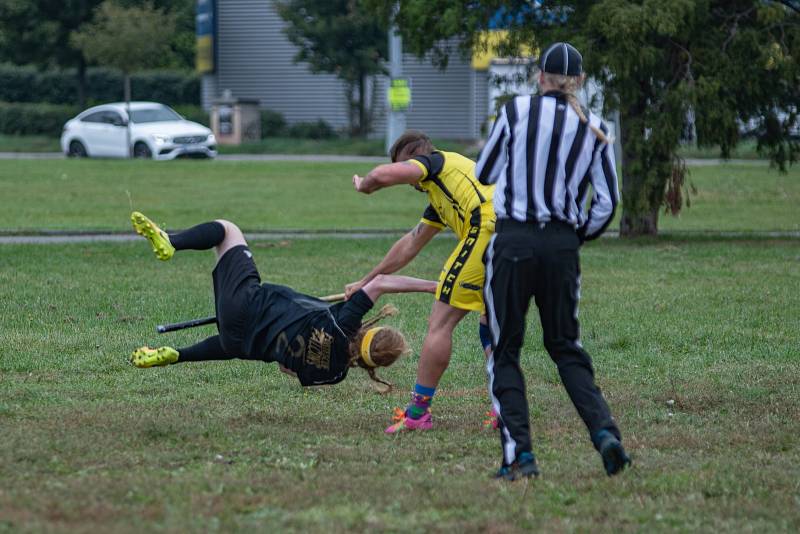 Famfrpál v podání Fortescue Falcons