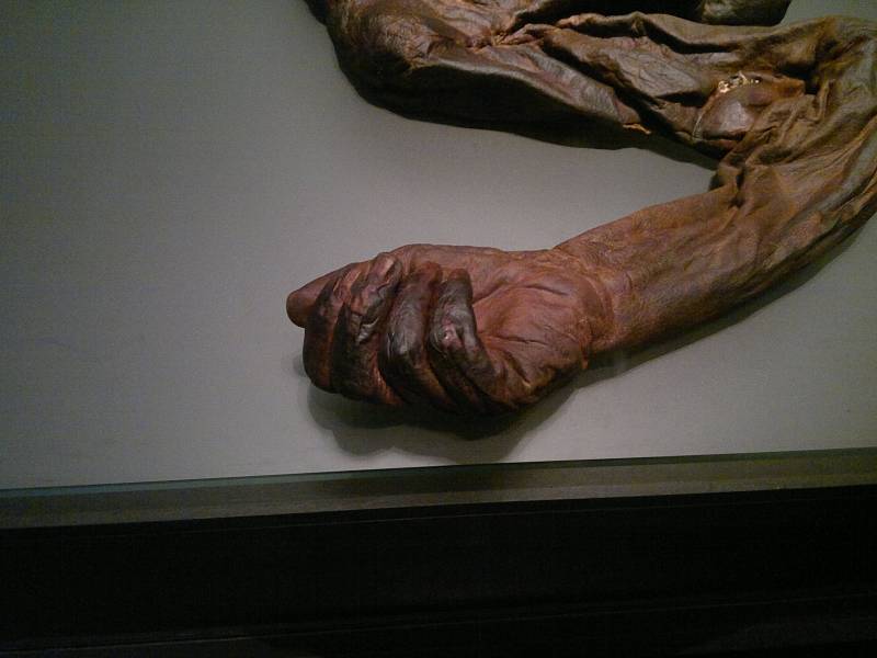 Ruka Croughanského starce. Přirozená mumie starého muže byla nalezena v červnu 2003 v bažinách u irského kopce Croughan