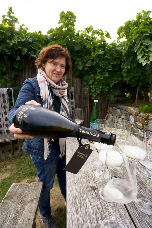 Vinařství Steininger je zárukou kvality, vinařská prcházka v Langenlois.