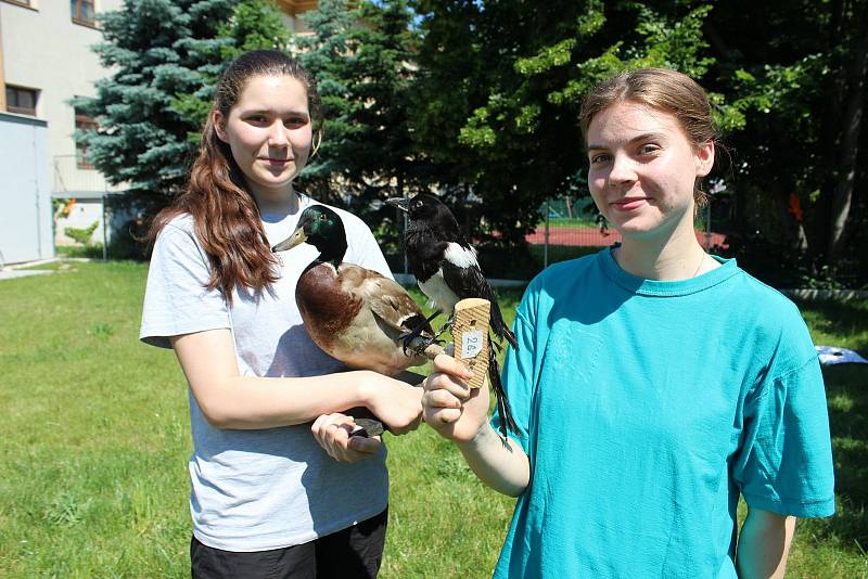 Základní škola a mateřská škola Uherské Hradiště, Šafaříkova