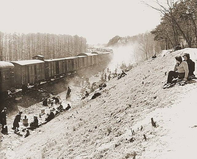 Vlak s vězni z koncentračního tábora krátce po osvobození Američany v dubnu 1945