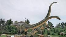 Diplodokidi jsou přezdíváni jako "jezevčíci" mezi obřími dinosaury.