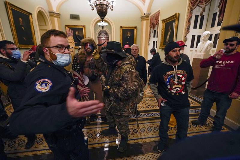 Příznivci amerického prezidenta Donalda Trumpa poté, co 6. ledna 2020 překonali policejní zátarasy a vnikli do budovy Kapitolu ve Washingtonu.