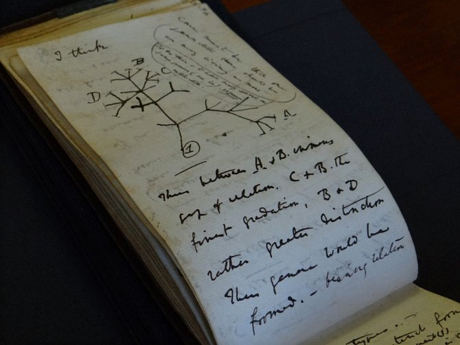 Zápisník Charlese Darwina.