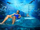 Aquaventure - akvapark, který vám vezme dech!