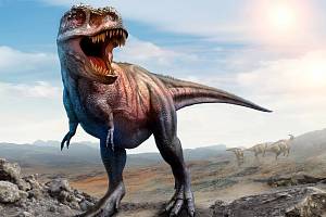 Tyrannosaurus rex byl jeden z největších masožravých dinosaurů (teropodů) a zároveň jedním z největších suchozemských predátorů všech dob. A uměl vrtět ocasem