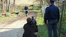 V Hajanech na Blatensku ve středu 12. listopadu policisté zastřelili uprchlého vězně Pavla Tauchena a jeho ženu, která mu k útěku pomáhala, postřelili. Policie na místě a v domě, kde se měli manželé ukrývat, vyšetřovala jště ve čtvrtek 12. listopadu.