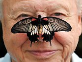 Známý britský přírodovědec a průvodce televizními pořady o přírodě David Attenborough.