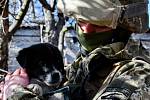 Lidé na Ukrajině zachraňují zvířata z útulků, které se ocitly ve válečné zóně.