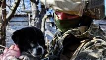 Lidé na Ukrajině zachraňují zvířata z útulků, které se ocitly ve válečné zóně.