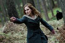 Hermiona Grangerová je velmi chytrá, ale také opravdu moc statečná kamarádka Harryho Pottera