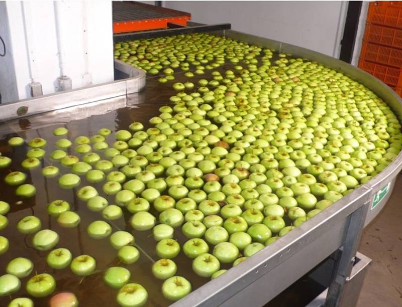Chytré třídění jablek v Žernově
