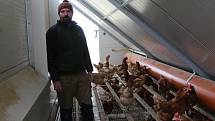 Josef Dvořák chová na svém statku 6500 slepic, které denně snesou kolem 5800 vajec.