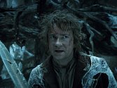 Hobit: Šmakova dračí poušť líčí další dobrodružství hobita Bilbo Pytlíka na jeho společné pouti s čarodějem Gandalfem a třinácti trpaslíky vedenými Thorinem Pavézou. Vydali se na výpravnou cestu, jejímž cílem je získat zpět Osamělou horu.