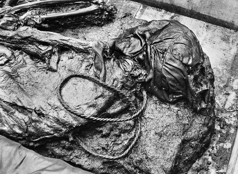 Dokonale zachovalé tělo Tollundského muže poté, co bylo vyzdviženo z rašeliny