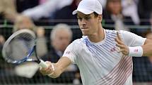 Tomáš Berdych ve finále Davis Cupu proti Novaku Djokovićovi ze Srbska.