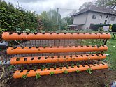 Původně zkoušela Kateřina Hrdličková pěstovat jahody v instalatérských trubkách. KG trubky (na snímku) jsou však podle ní prostornější a kompaktnější.