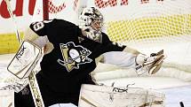 V brance Pittsburghu se činil Marc-Andre Fleury. 