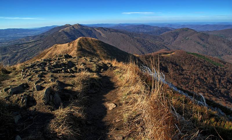 U sousedů. Karpaty na hranicích Slovenska, Polska a Ukrajiny jsou jedním z velkých území divočiny v Evropské unii. Najdete tu medvědy, zubry, vlky i losy.