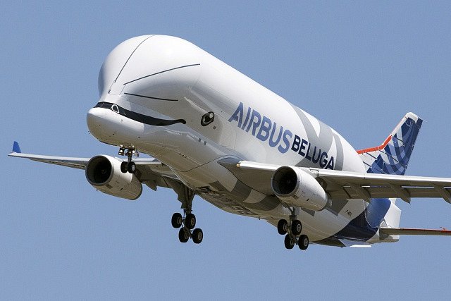 Obří nákladní letoun Beluga XL při svém prvním vzletu