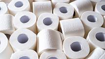 Že rostou ceny toaletního papíru potvrzují výrobci, ekonomové i obchodníci, kteří již pociťují zvýšený zájem.