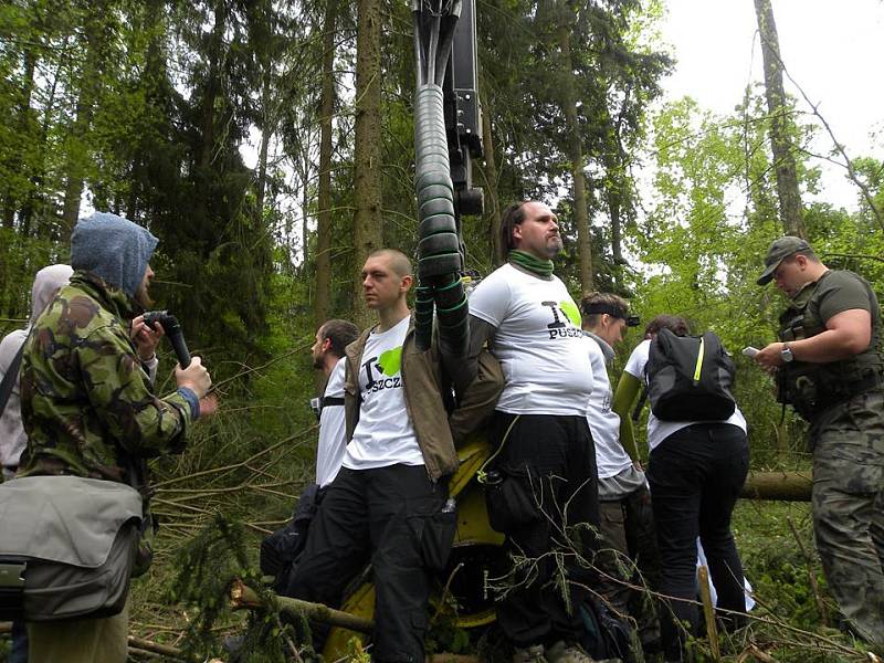 Proti kácení posledního zbytku původního evropského pralesa protestovaly stovky aktivistů