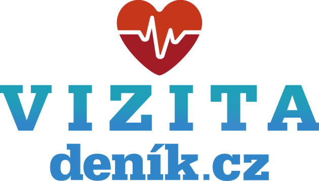 logo vizita