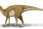 Rekonstrukce hadrosaura na základě fosilních nálezů