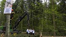 Proti kácení posledního zbytku původního evropského pralesa protestovaly stovky aktivistů