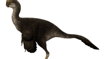 Možný vzhled jednoho z oviraptorů.