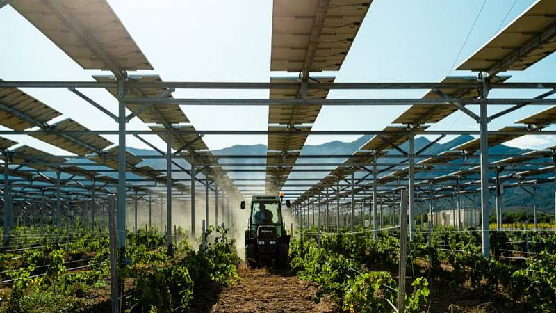 Agrivoltaika. Dvojí využití půdy pro zemědělství a energetiku zkoušejí v zahraničí. Česko na boom solárních panelů v obhospodařovaných sadech či polích čeká.