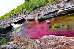 Caño Cristales, nejkrásnější řeka, nebo také řeka pěti barev. Najdete ji v Kolumbii.