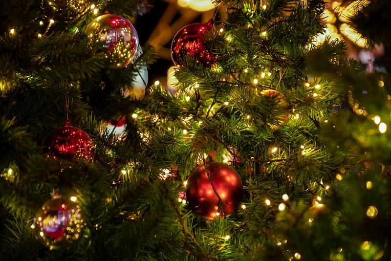 Pokud se zvolí správná varianta světýlek, vyjde jejich provoz přes celé Vánoce i v období adventu jen na pár desítek korun