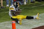 Je rozhodnuto. Santonio Holmes drží míč, právě skóroval vítězný touchdown PIttsburghu.