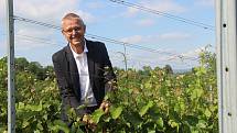 Že patří pěstování vína na jižní Moravu?  Vladimír Matela ze Sobíšek na Přerovsku dokazuje, že to nemusí být tak úplně pravda