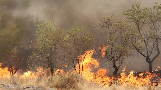Španělsko bojuje kvůli vedrům s rozsáhlými požáry.