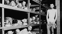Židé a holocaust (Buchenwald 1945). Nepředstavitelné hrůzy druhé světové války vyvrcholily vyvražďováním židovského obyvatelstva a dalších menšin ve vyhlazovacích táborech. Nacisté trápili vězně hladem v nelidských podmínkách například v koncentračním táb