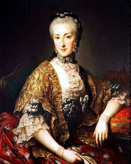 Arcivévodkyně Marie Anna měla talent na přírodní vědy. Kvůli zohavení se sice nikdy nevdala, vzhledem ke svému postavení a tomu, že byla ženou, ale měla poměrně výjimečnou vědeckou kariéru.
