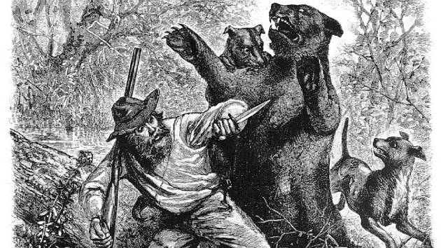 Legendární střetnutí trappera Hugha Glasse s rozzuřenou medvědicí ztvárněné dobovým novinovým kreslířem