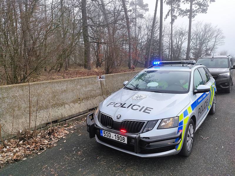 Policisté s celníky se na dálnici D10 zaměřili na dálniční známky.