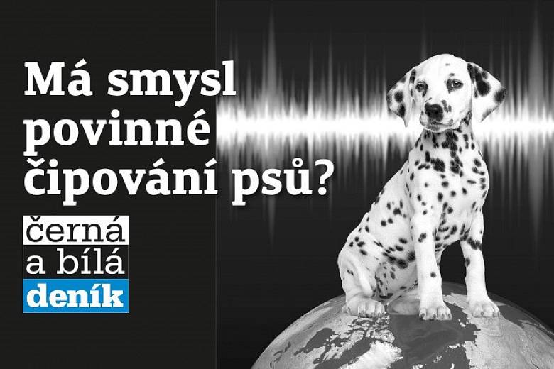 Má smysl povinné čipování psů?