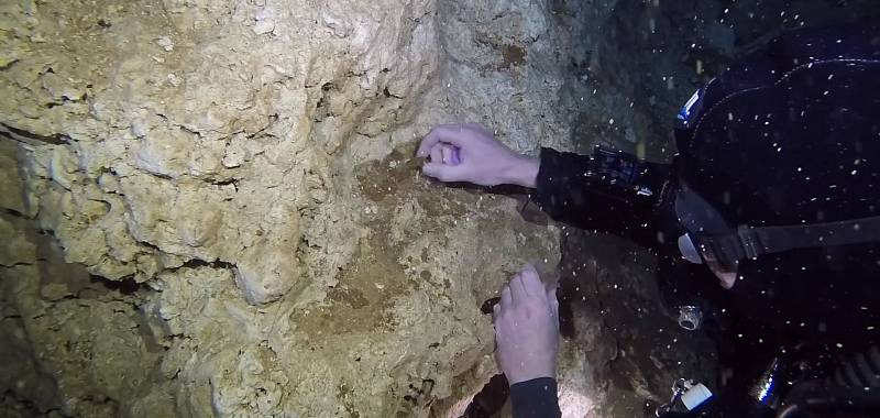 Vědci objevili v zákrutách podmořských chodeb něco, co je zřejmě nejstarší známý důl v Americe