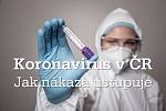 Koronavirus v Česku. Skončila první vlna.