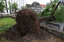 Vyvrácený strom v německém Lippstadtu, kterým se 20. května 2022 přehnalo tornádo