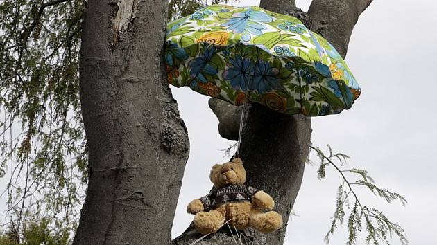 Plyšový medvěd sedí na stromě pod deštníkem u jednoho z domů v Christchurchi (na snímku z 28 března 2020)