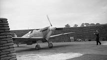 Stíhací letoun Supermarine Spitfire 313. stíhací perutě